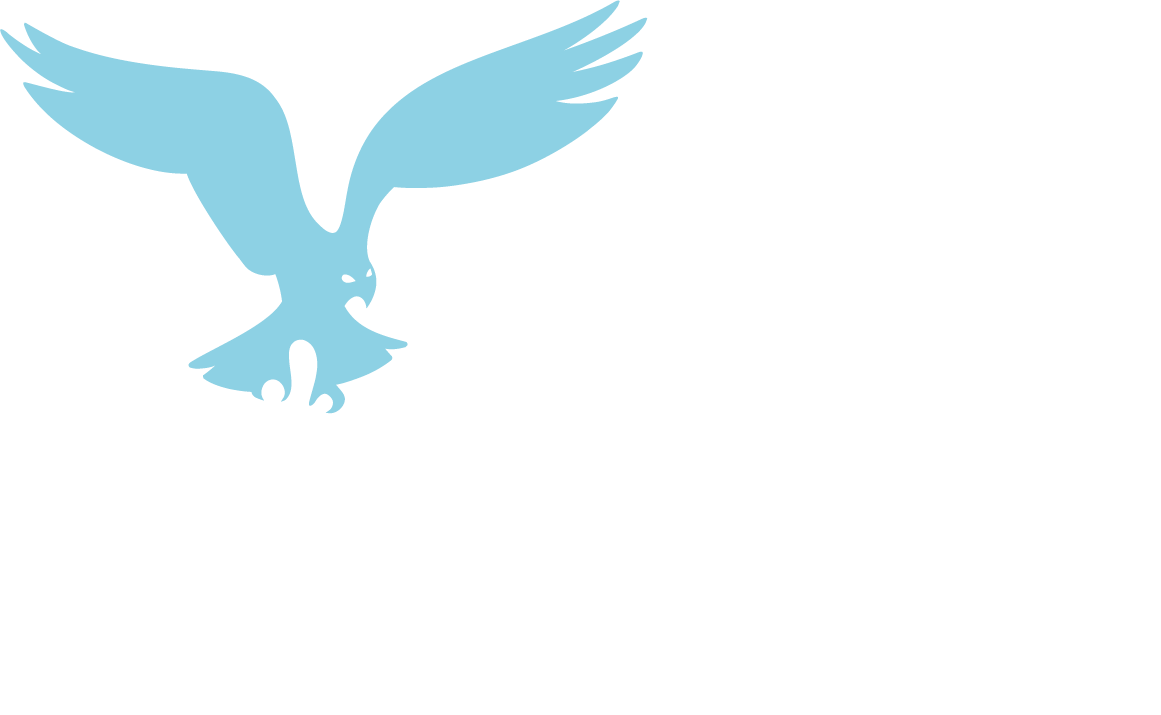Osprey Television